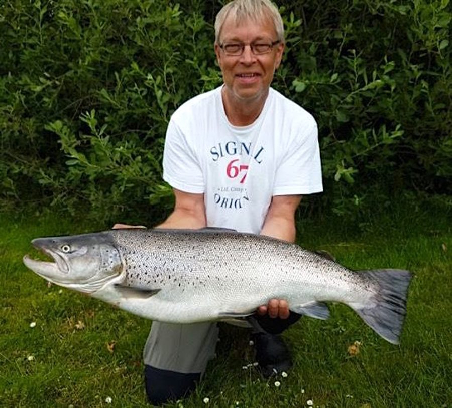 1 havørred på 9,1 kilo.jpg