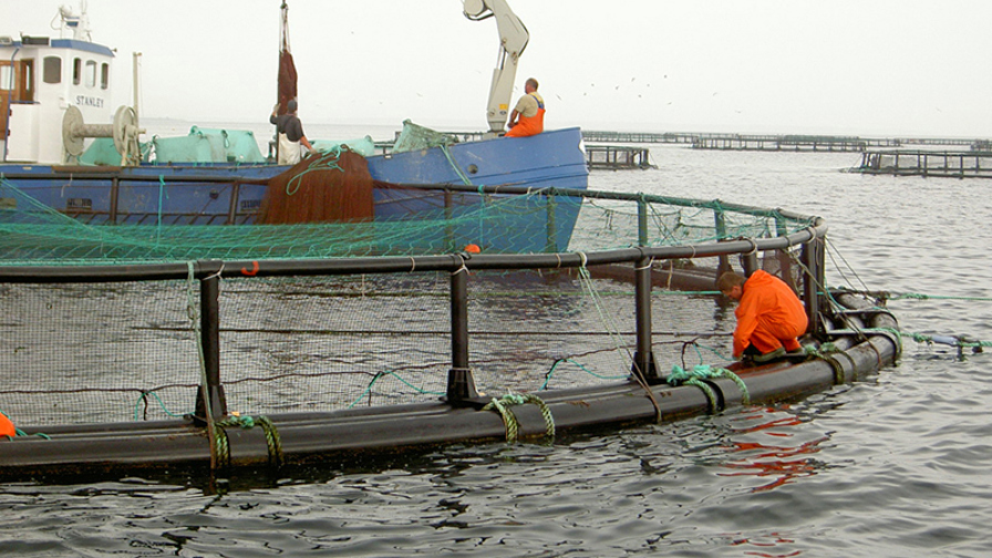 havbrug_0.jpg