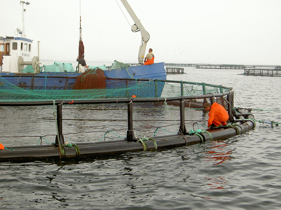 havbrug_0.jpg