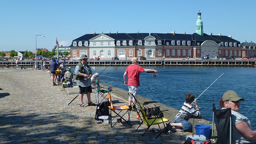 Billed 1, smukke omgivelser til Havnemede.JPG