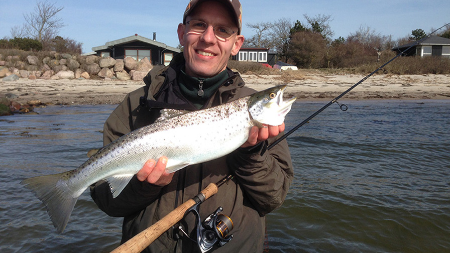 Billed 1, havørred på 1,9 kg.JPG