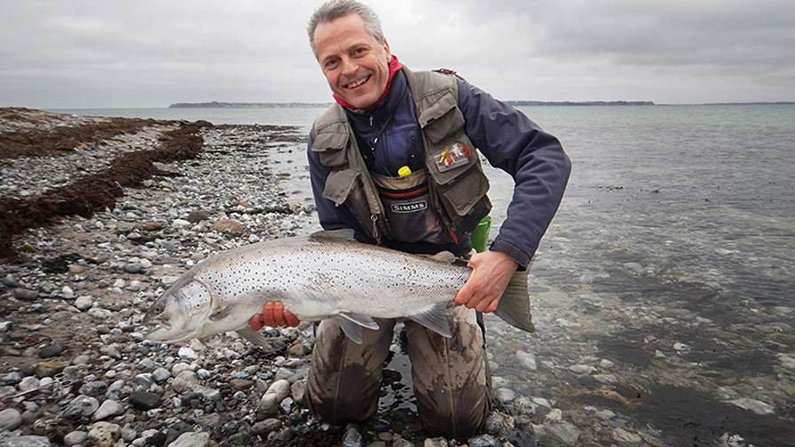 Billed 1, 98 cm Isefjordshavørred.jpg