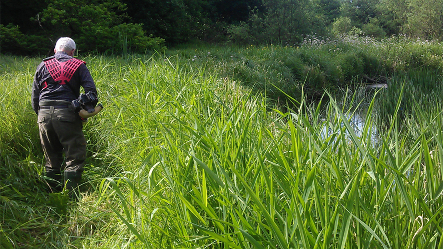 slaaning-bredvegetation.jpg