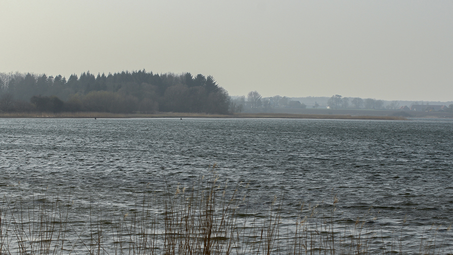 haderslev fjord 109 stevelt_WEB.jpg