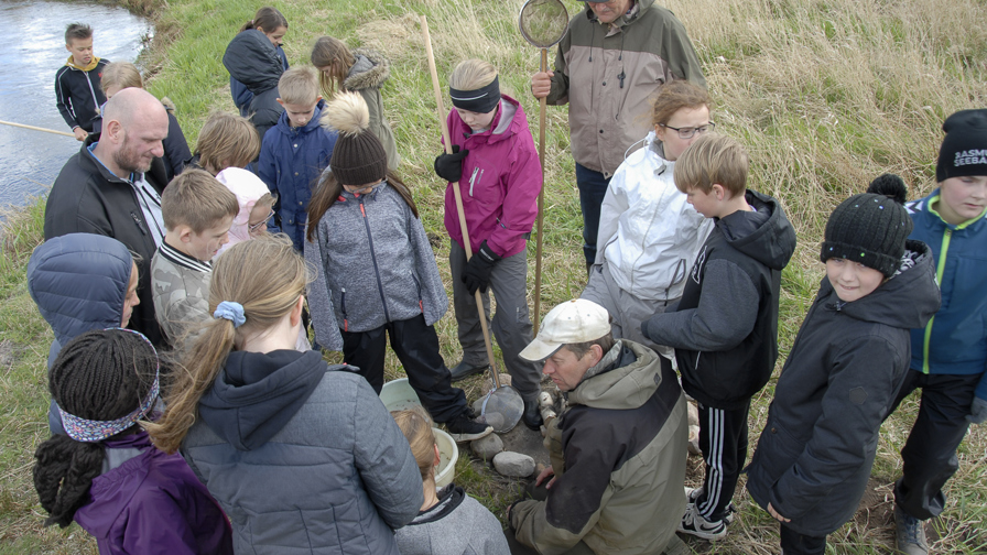 Anskuelsesundervisning i fiskepleje for skoleelever1.jpg