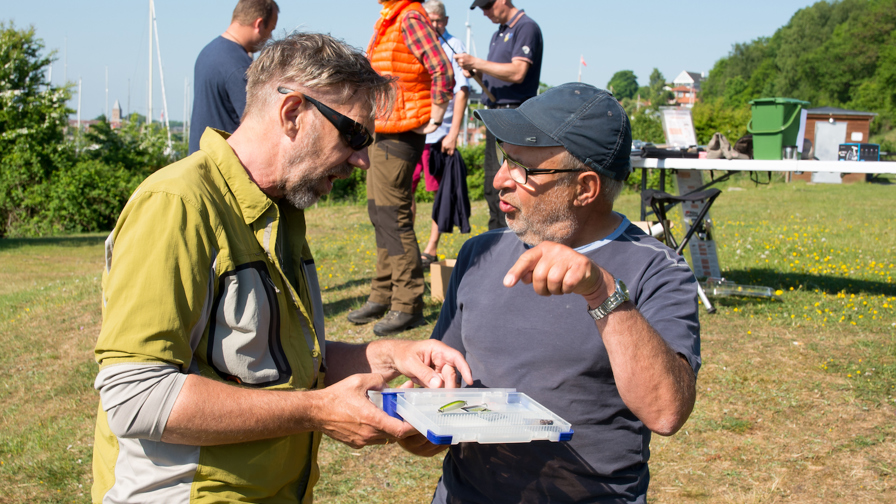 Lystfiskeriets dag HSF (1 of 7).jpg