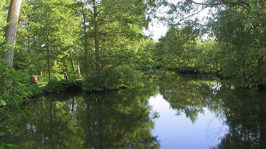 800px-Denmark-Odense_River-scenery.jpg