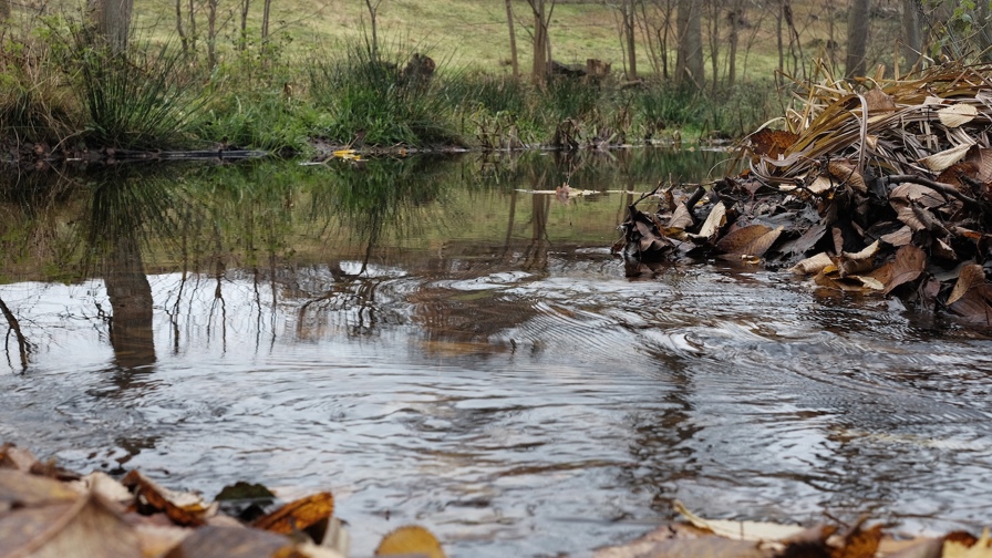 gundestrup_mølle.jpg