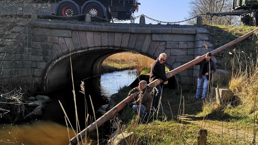 Smolt Udsætning Nivå