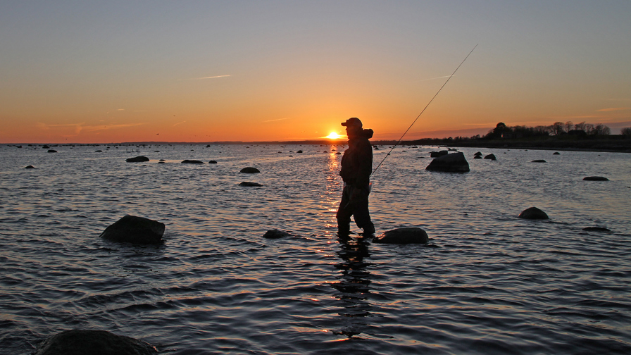 meerforellenangeln-lund-bei-stevns-klintseatrout-fishing.jpg