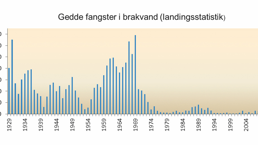 Landingsstatitsik gedder Østersøen 1929 - 2016. Fra Jacobsen & Berg, Brakvandsgedder i Danmark - Viden og Forvaltning, DTU Aqua 2018, Grafik Lene Jacobsen.jpg