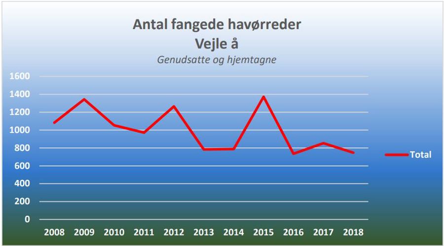 Vejle statistik.JPG