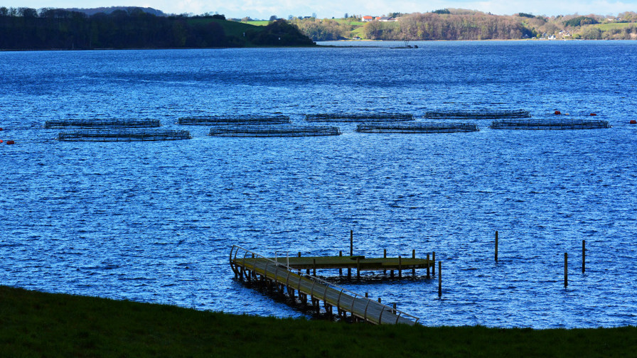 Børup Sande Havbrug ligger 275 meter  fra land Foto KKFE.jpg