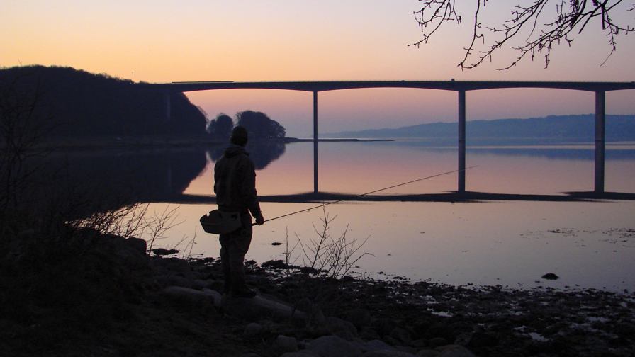 Vejle_Fjord_broen_-_panoramio_1.JPG