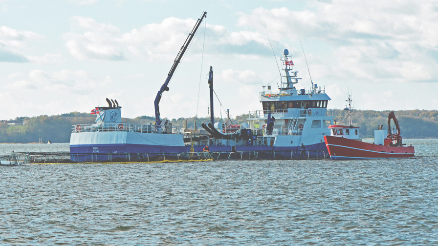 Norsk brøndbåd støvsuger fisk op fra SFS's Børup Sande Havbrug Foto KKFE.jpg