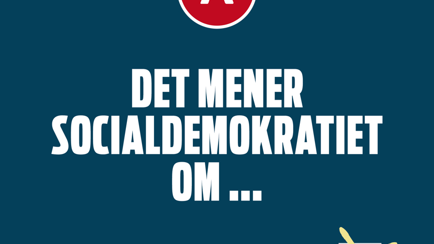 Det mener partierne.jpg