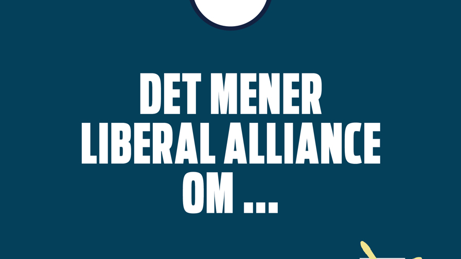 Det mener partierne2.jpg