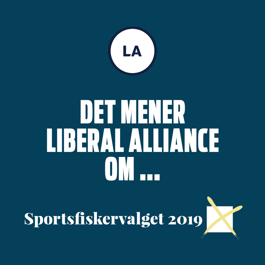 Det mener partierne2.jpg