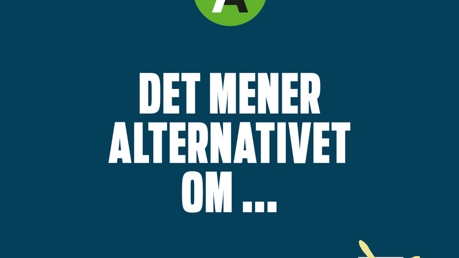 Det mener partierne9.jpg