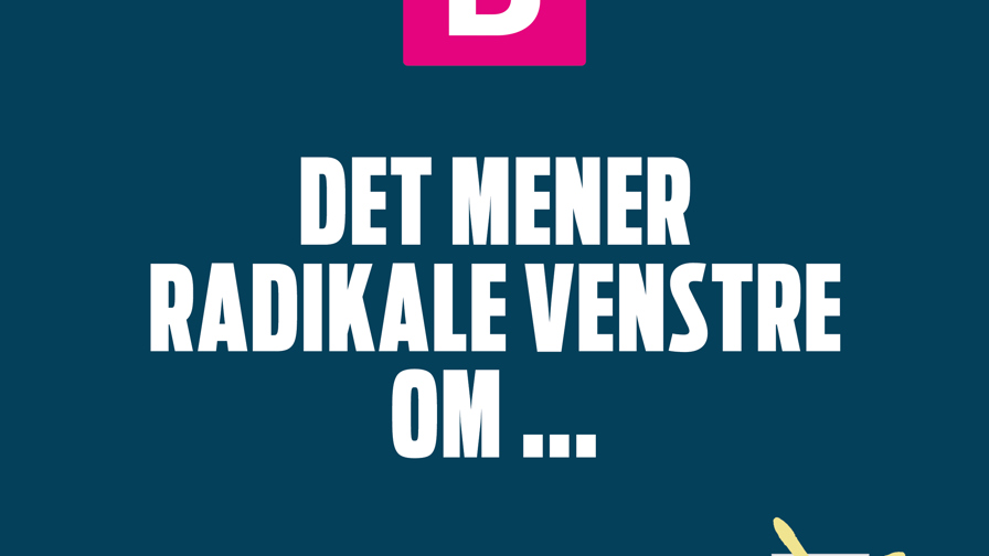 Det mener partierne6.jpg