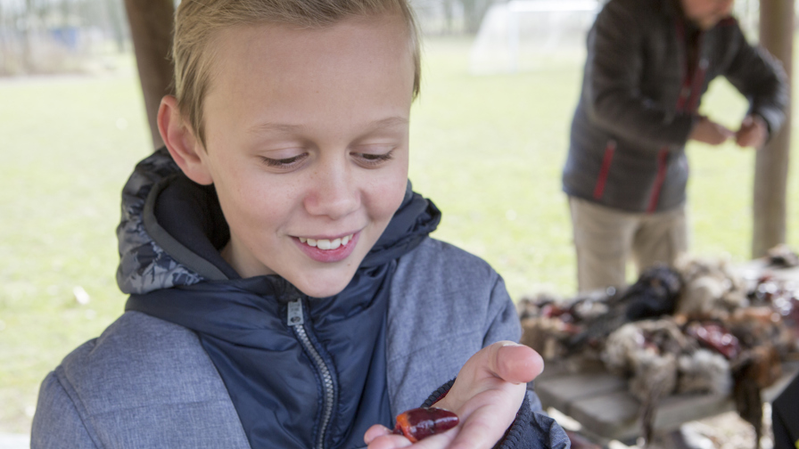 NaturligVis på Assentoft Skole 36.jpg