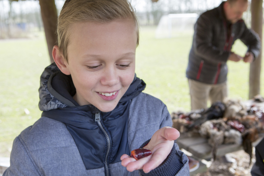 NaturligVis på Assentoft Skole 36.jpg