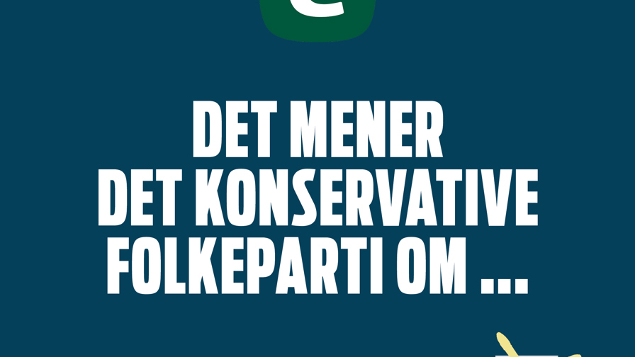 Det mener partierne5.jpg