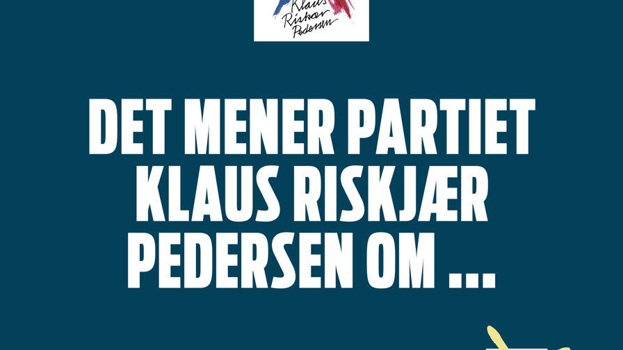 Det mener partierne8.jpg