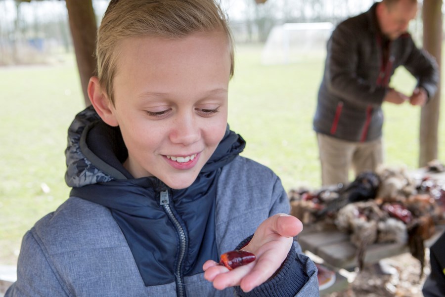 Efterårscamps 2019