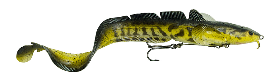 Burbot