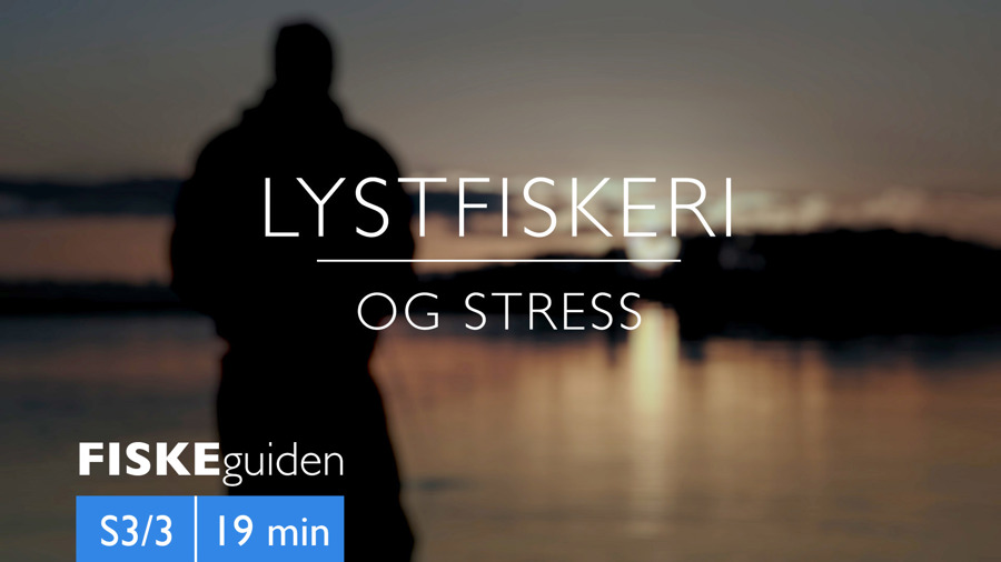 Thumbnail S3 3 Lystfiskeriogstress