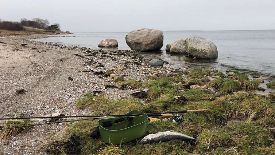 Isefjorden Grønlandshuse Havørred