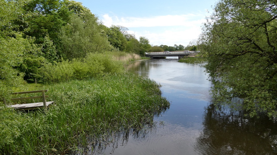 Grødeskæring Ribe Mølledam