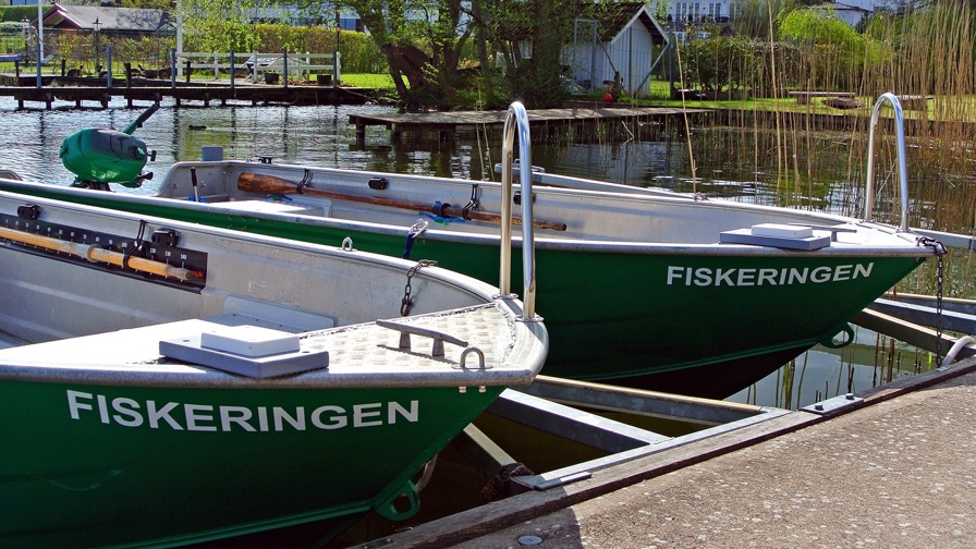 Fiskeringen