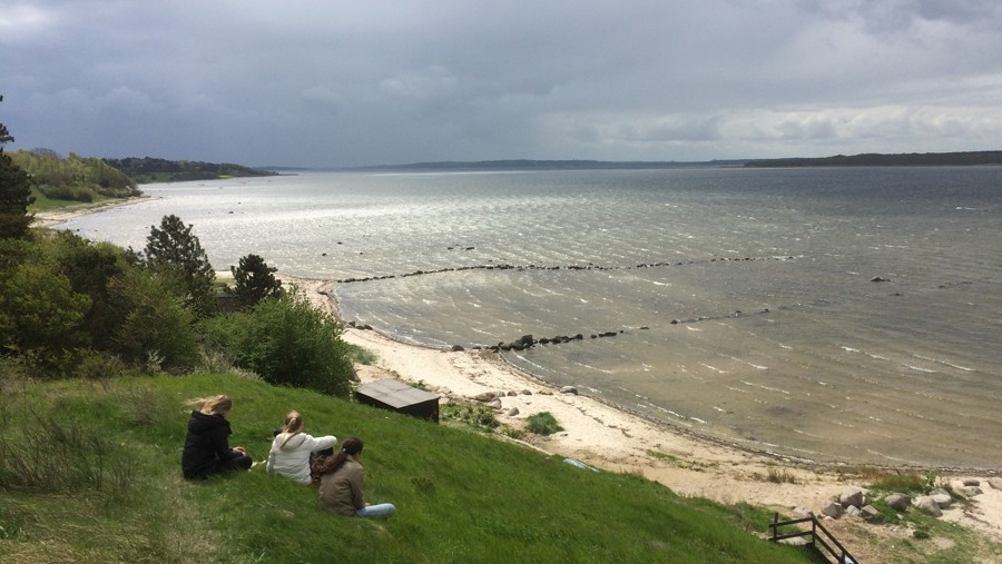 Roskilde Fjord Dyrnæs