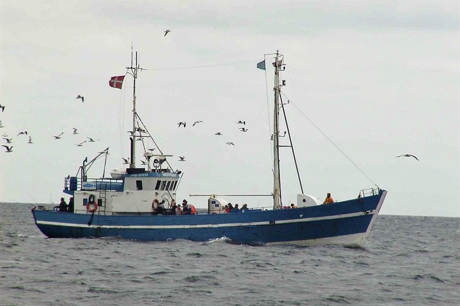 Havstrygeren 290602 Turbåd Øresund