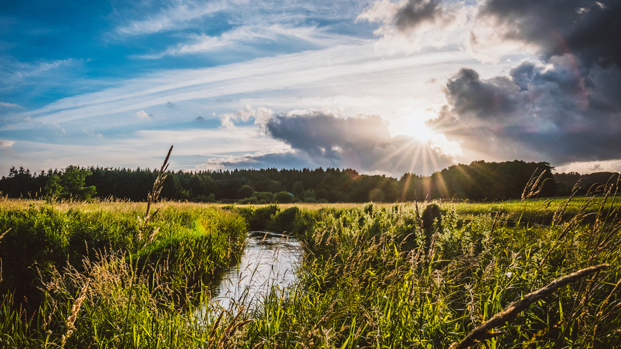 Regeringen Uambitiøs Naturgenopretningslov