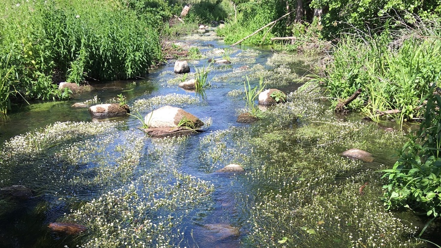 Aarhus Å Edslev2