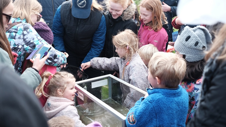 Billed 2, Ørreder I Akvarier Og En Travl Fiskemester