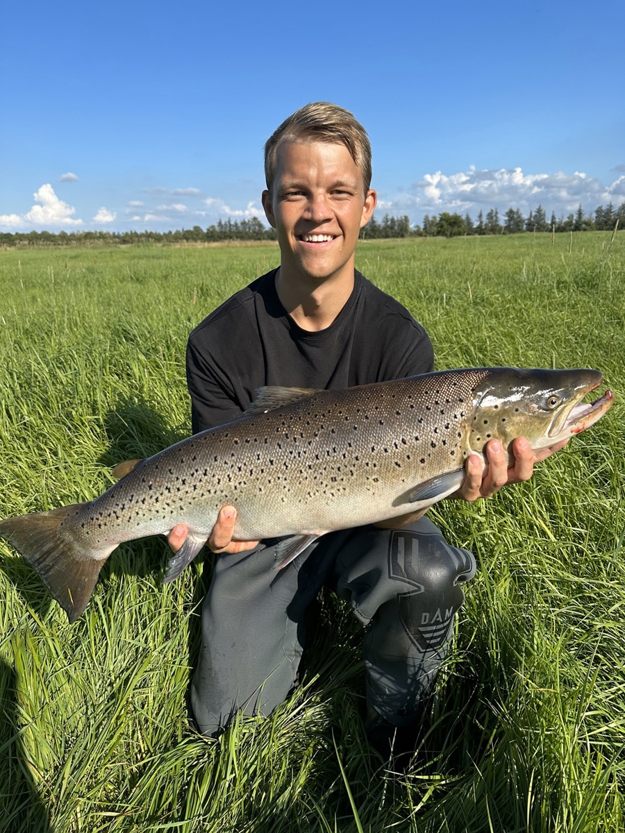 Magnus Rubæk 83 Cm 7,1 Kg Ryå