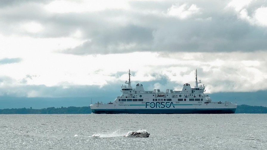 Tun Foran Forsea Færge I Øresund Fotograf Ole Thomsen Nr. 6