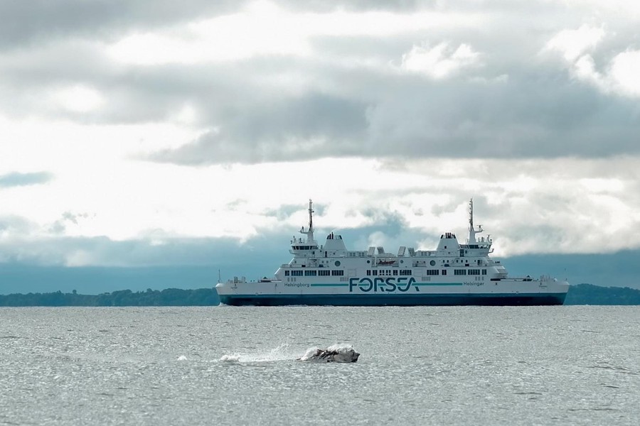 Tun Foran Forsea Færge I Øresund Fotograf Ole Thomsen Nr. 6