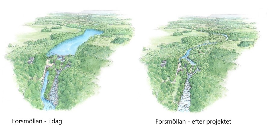 Forsmöllan Før Og Efter (1)